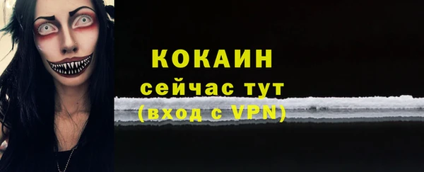 2c-b Дмитриев